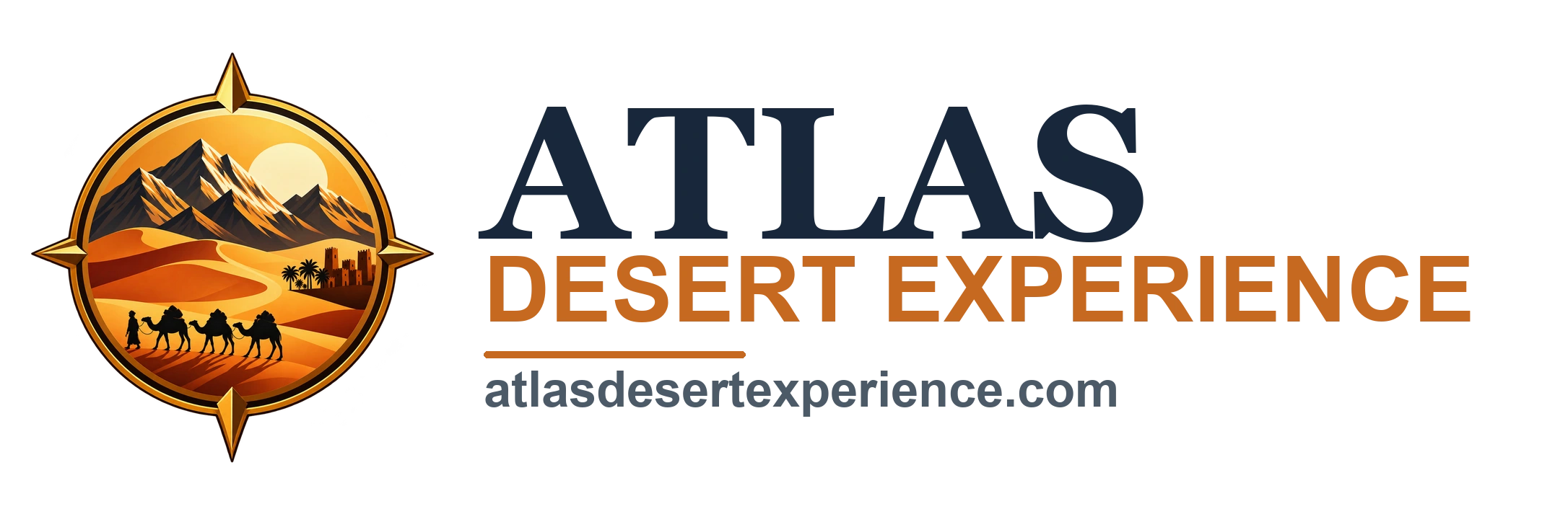 Discovery Safari Tours