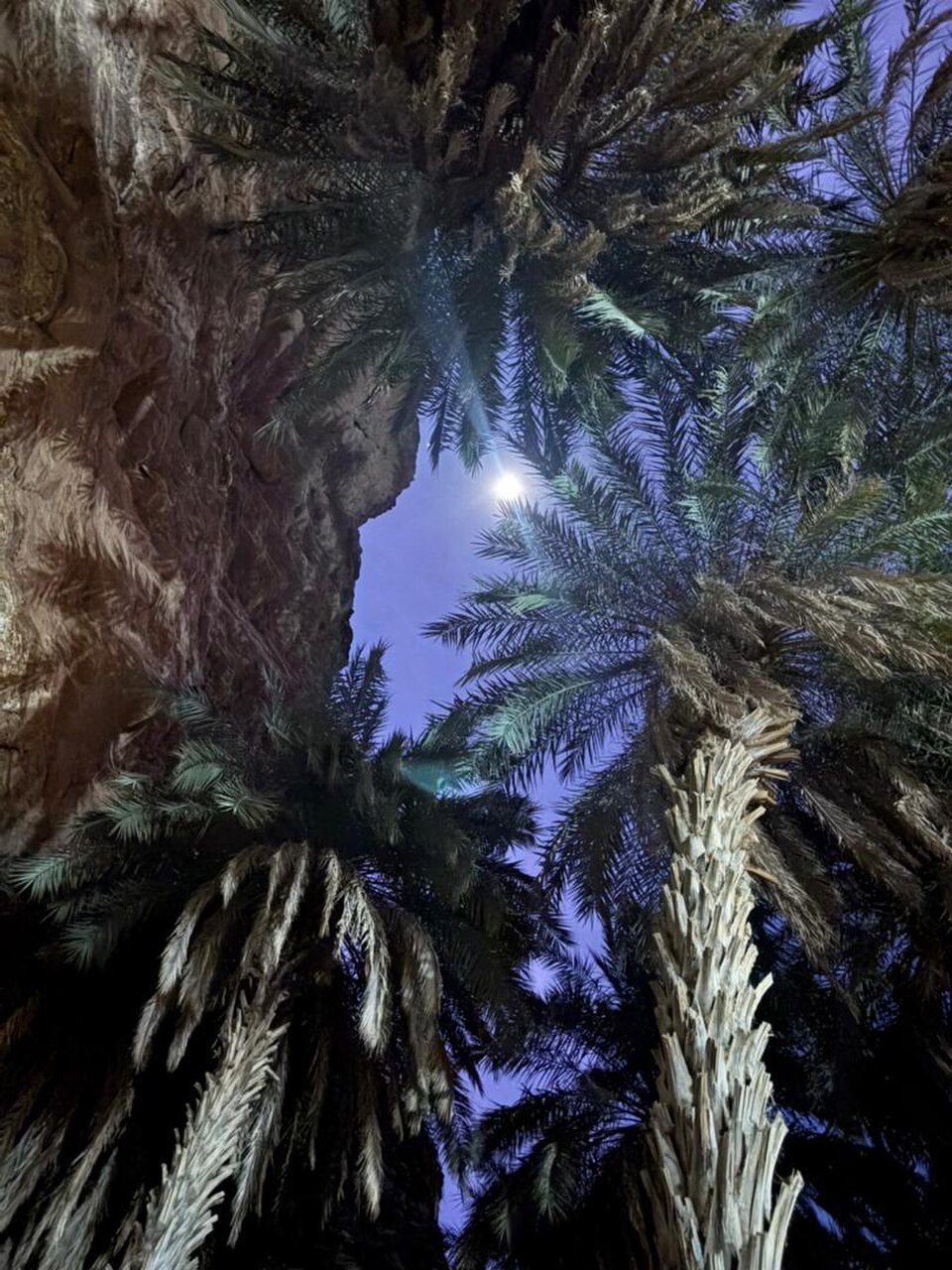 Terjit oasis in Mauritania