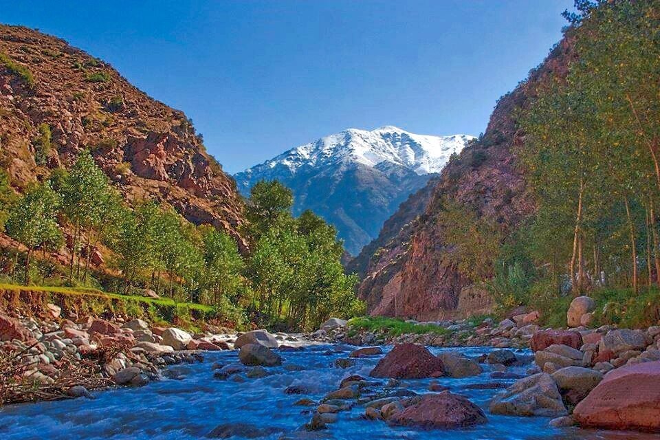 Mountain scenery in Ourika Valley