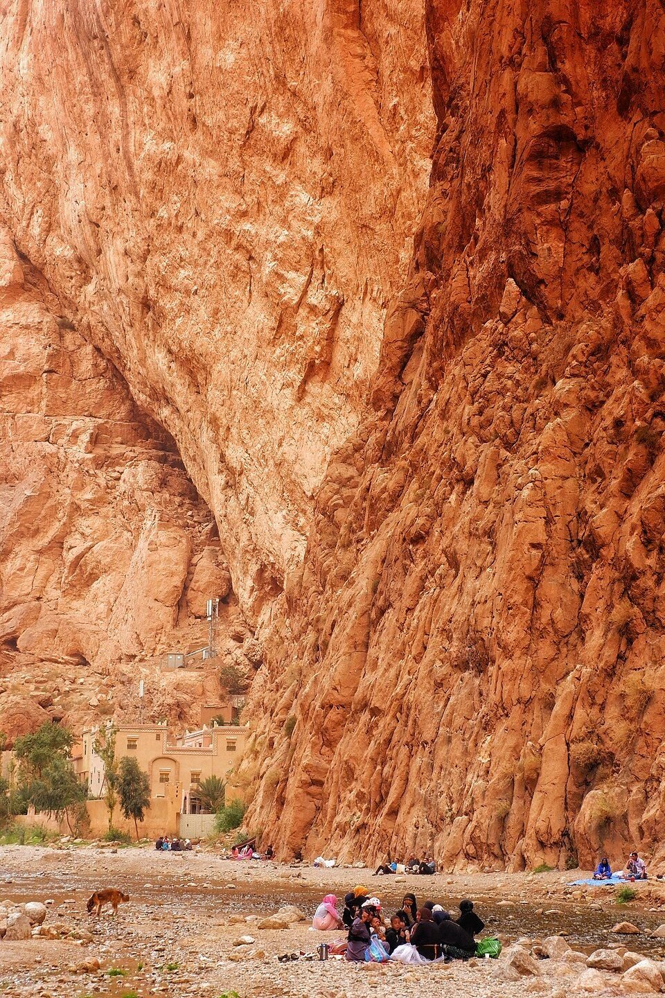 Rock walls of Todra Gorge near Tinghir
