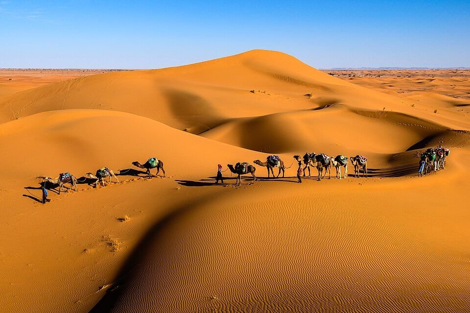 Camel caravan crossing Erg Chegaga in Morocco