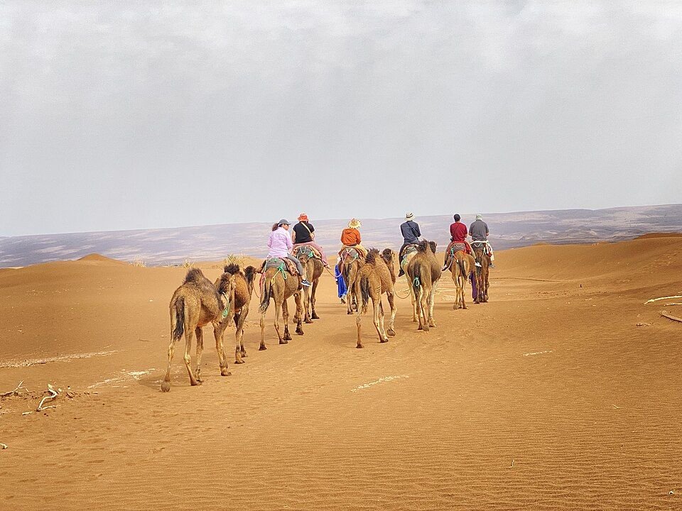 Camel trek across Erg Chegaga dunes