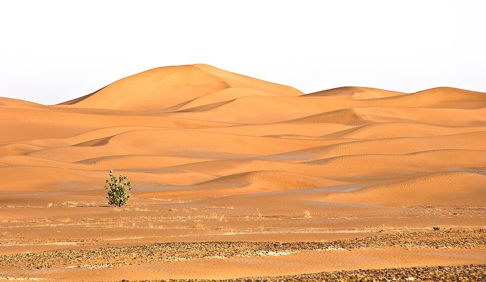 Erg Chegaga desert after a Sahara storm