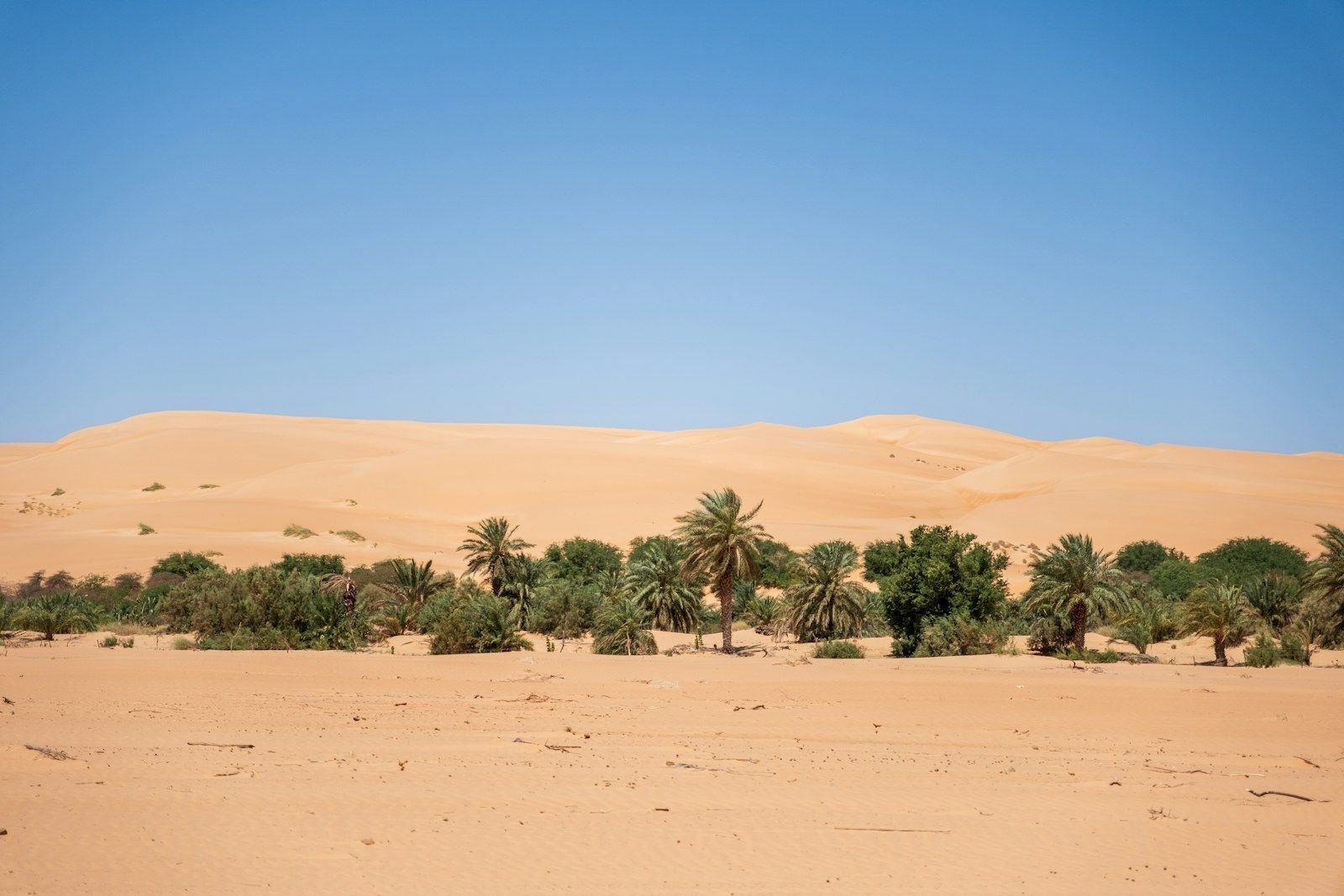 25-Day Private Mauritania 4×4 Round Trip (extendable to 30 days)