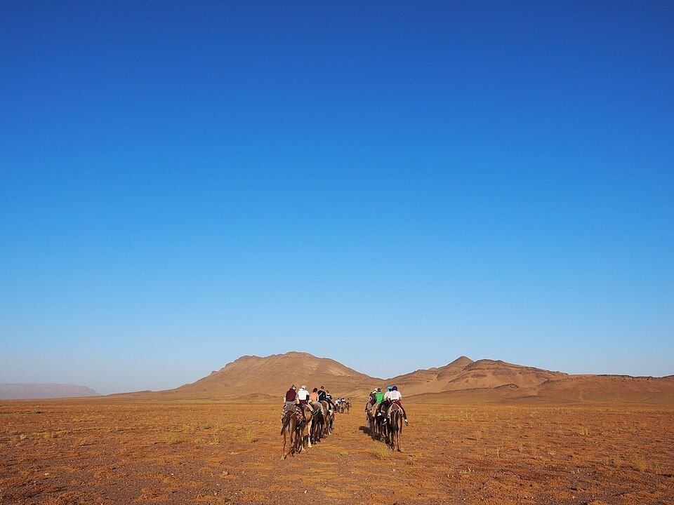 Desert scenery near Zagora Morocco
